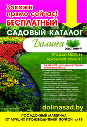 Саженцы,  цветы,  семена. Доставка по всей Беларуси
